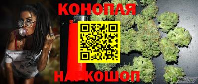 jwh Будённовск
