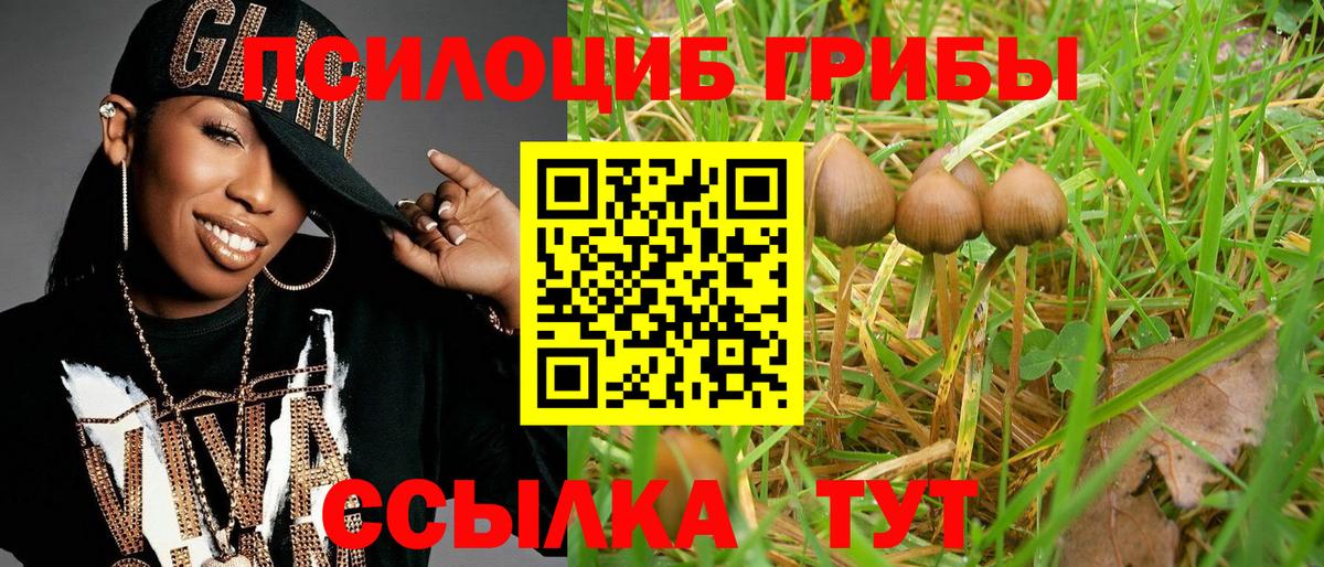 Можайск  где можно купить   Вход с VPN  Галлюциногенные грибы мухоморы  Галлюциногенные грибы GOLDEN TEACHER 