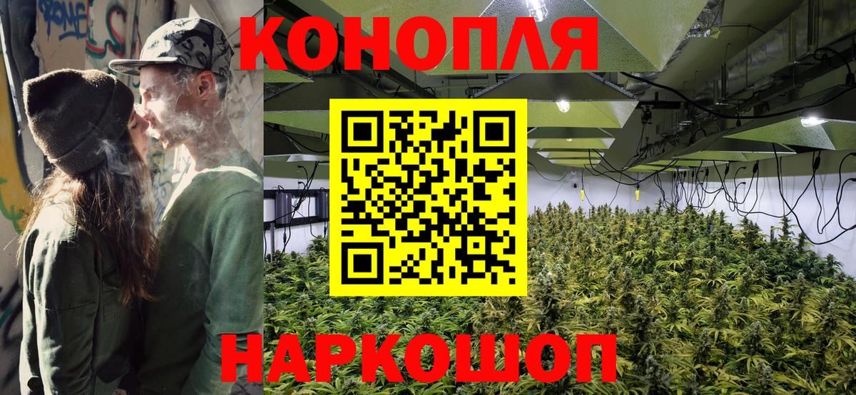 Бошки Шишки семена Можайск